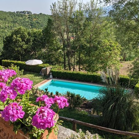 Martina Agriturismo Casentino - Fattoria Ventrina מראה חיצוני תמונה