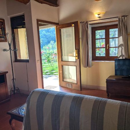 Martina Agriturismo Casentino - Fattoria Ventrina מראה חיצוני תמונה