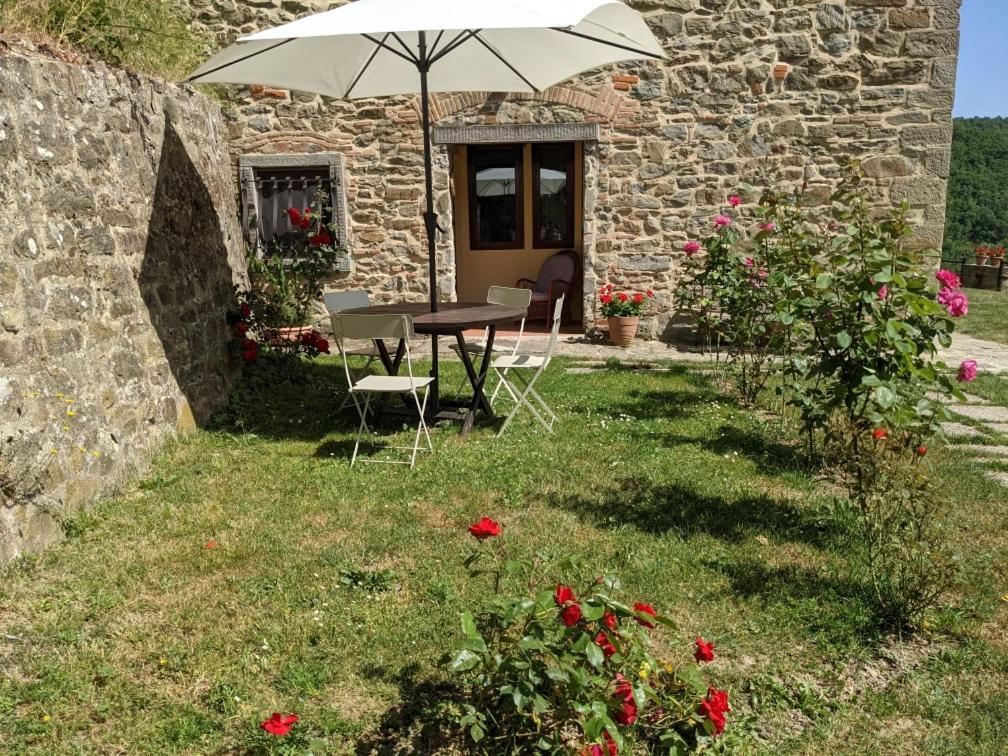 Martina Agriturismo Casentino - Fattoria Ventrina מראה חיצוני תמונה