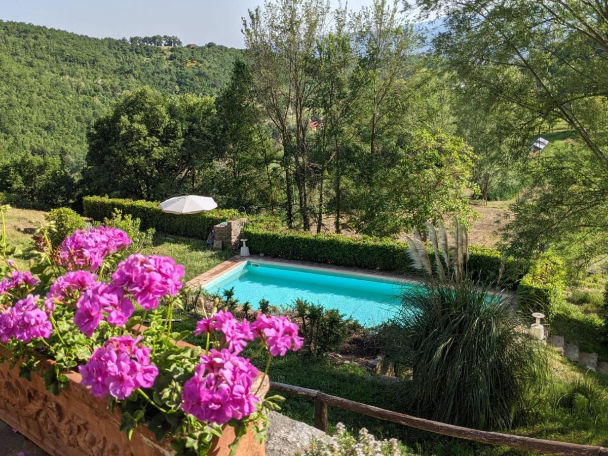 Martina Agriturismo Casentino - Fattoria Ventrina מראה חיצוני תמונה