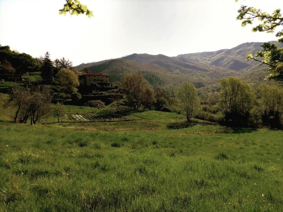 Martina Agriturismo Casentino - Fattoria Ventrina מראה חיצוני תמונה