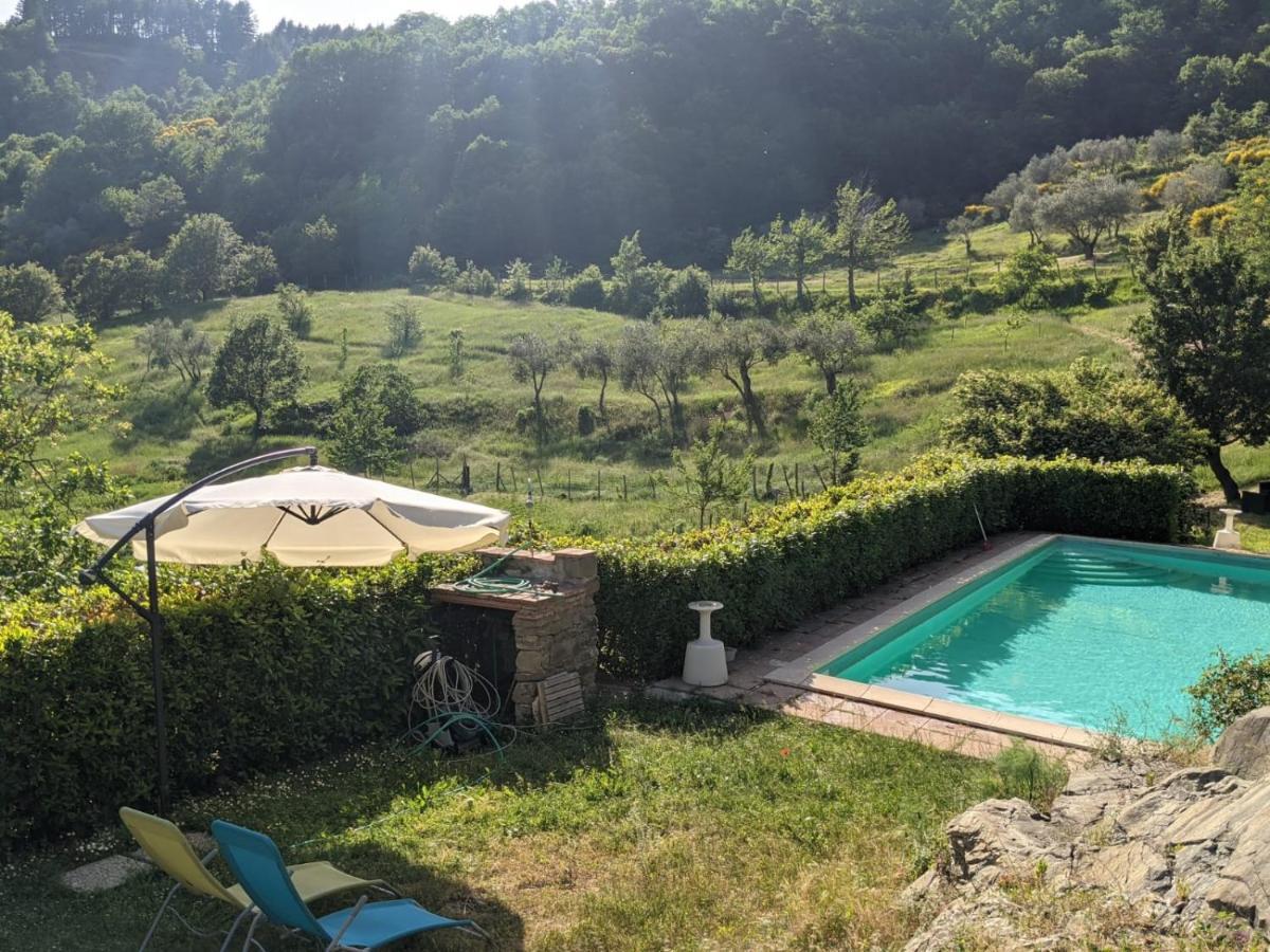 Martina Agriturismo Casentino - Fattoria Ventrina מראה חיצוני תמונה
