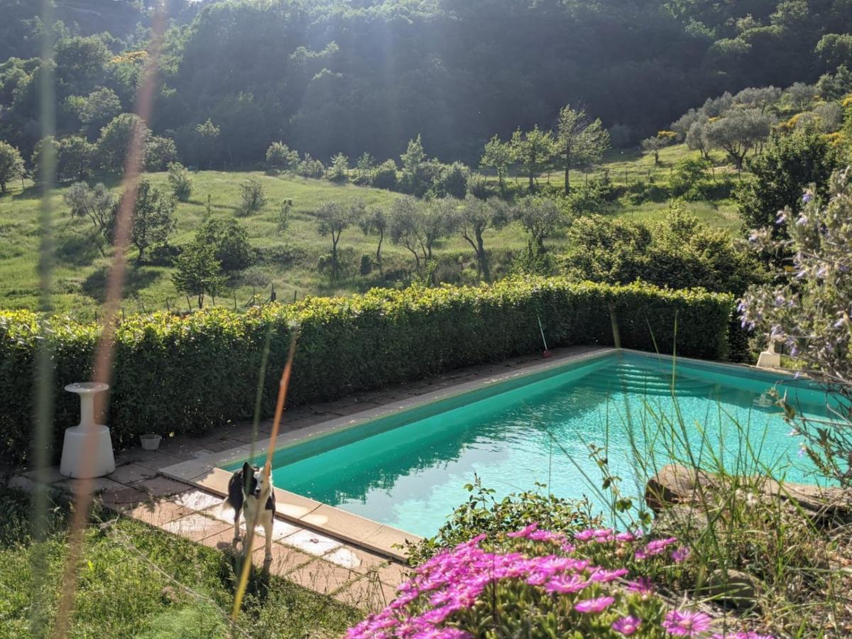 Martina Agriturismo Casentino - Fattoria Ventrina מראה חיצוני תמונה