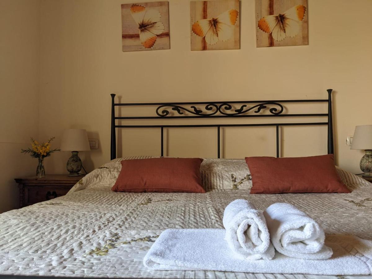 Martina Agriturismo Casentino - Fattoria Ventrina מראה חיצוני תמונה