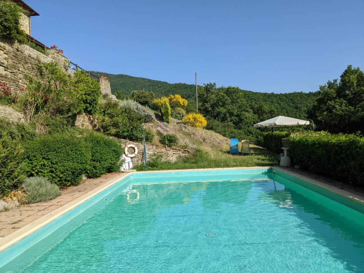 Martina Agriturismo Casentino - Fattoria Ventrina מראה חיצוני תמונה